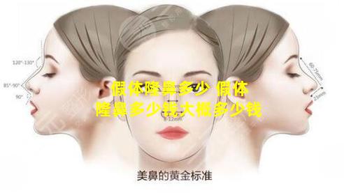 假体隆鼻多少 假体隆鼻多少钱大概多少钱